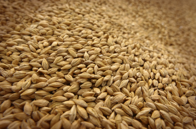 Омску и Новосибирску добавили объемов льготного вывоза зерна