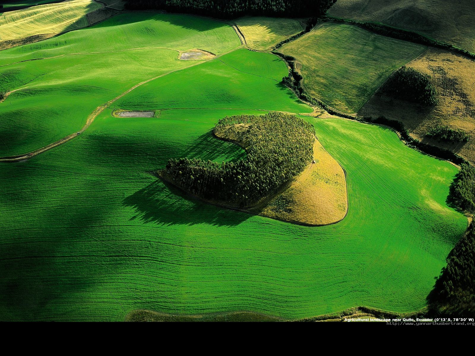 Ландшафт земли. Yann Arthus-Bertrand. Ян Артюс Бертран земля увиденная с неба. Ян Артюс Бертран (звезда Востока). Земля - вид сверху.