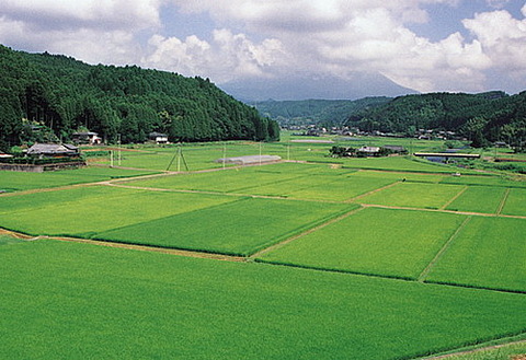 tag photo