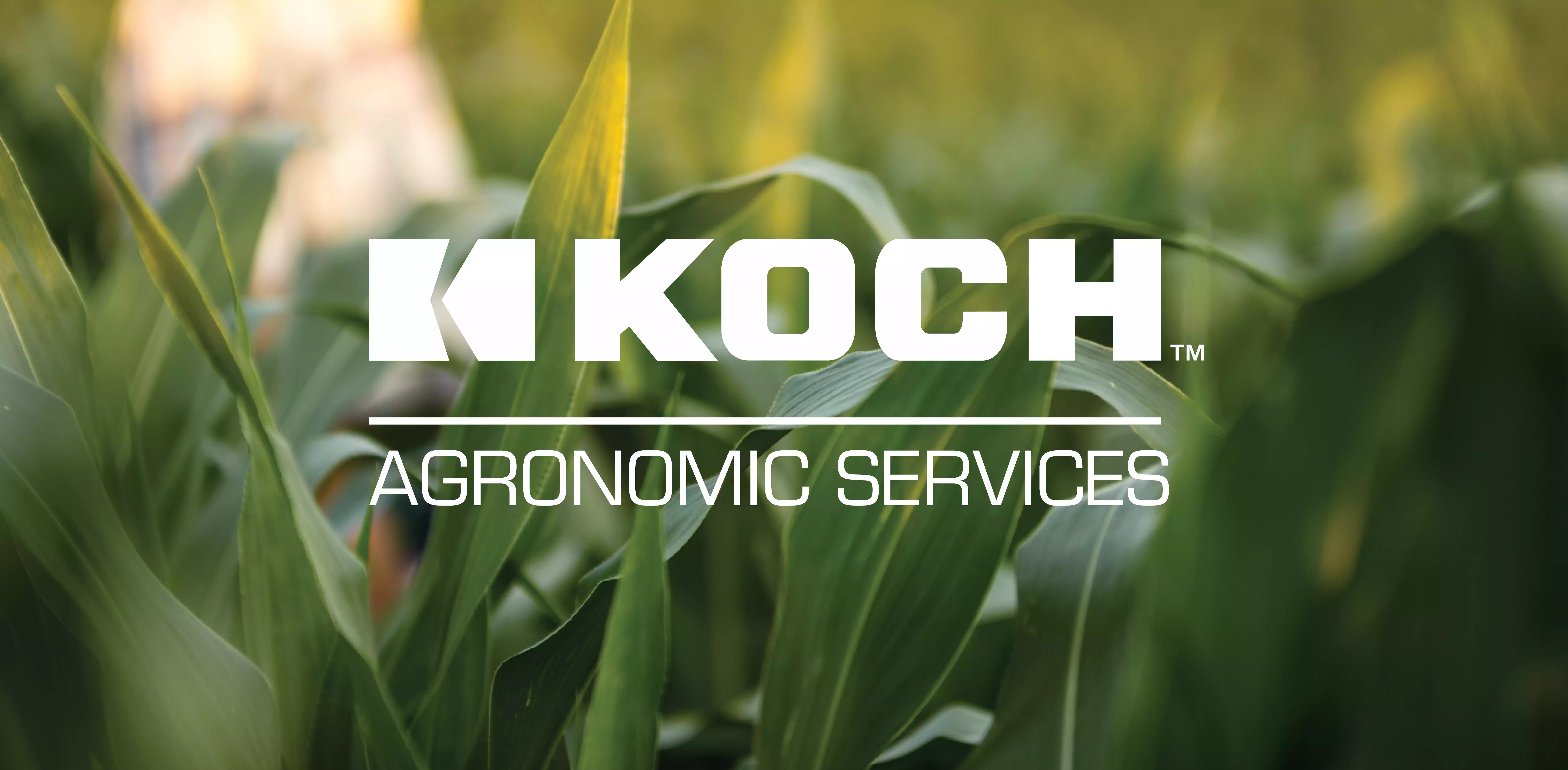 Koch Agronomic Services