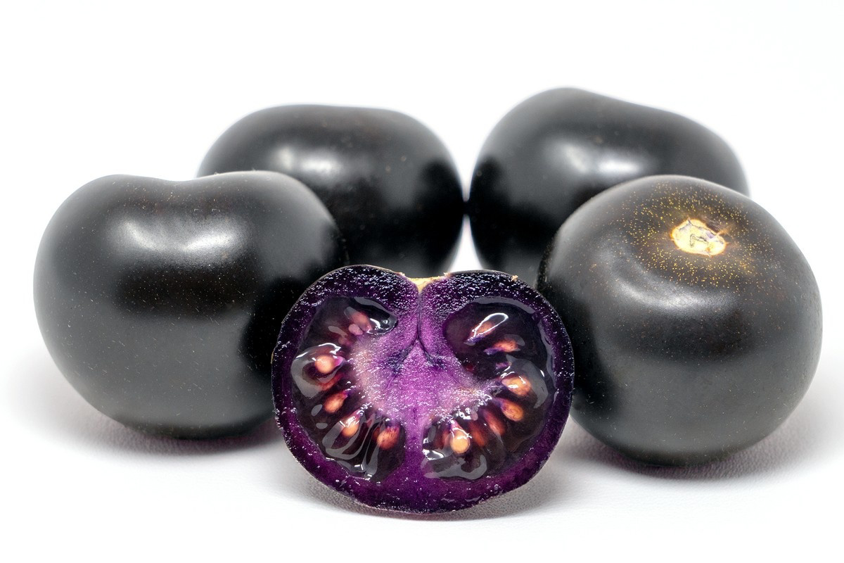Main Card